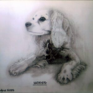 Moose