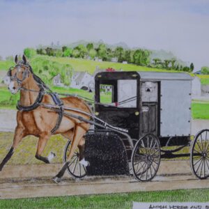 Amish Horse & Buggy